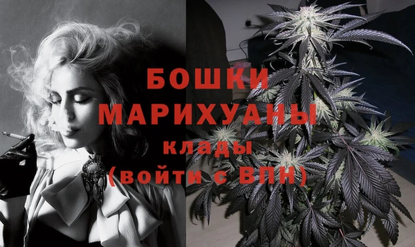 PSILOCYBIN Ладушкин
