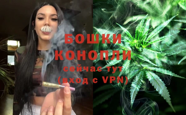гидра Кулебаки