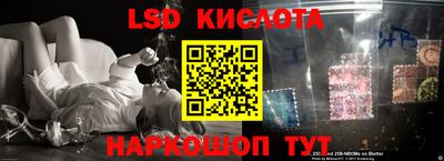 крисы Кулебаки