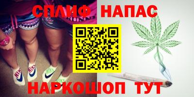 крисы Кулебаки