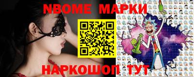 крисы Кулебаки