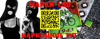 крисы Кулебаки