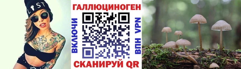 Галлюциногенные грибы Psilocybine cubensis  Шали 