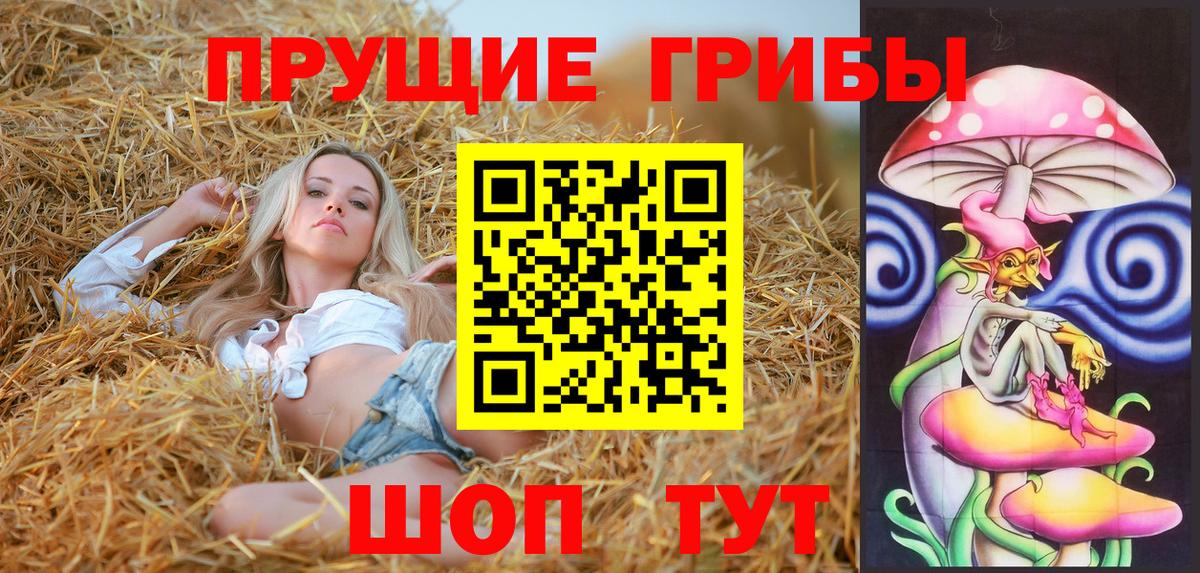 Шали  Галлюциногенные грибы Psilocybine cubensis  купить наркоту  Вход с VPN 